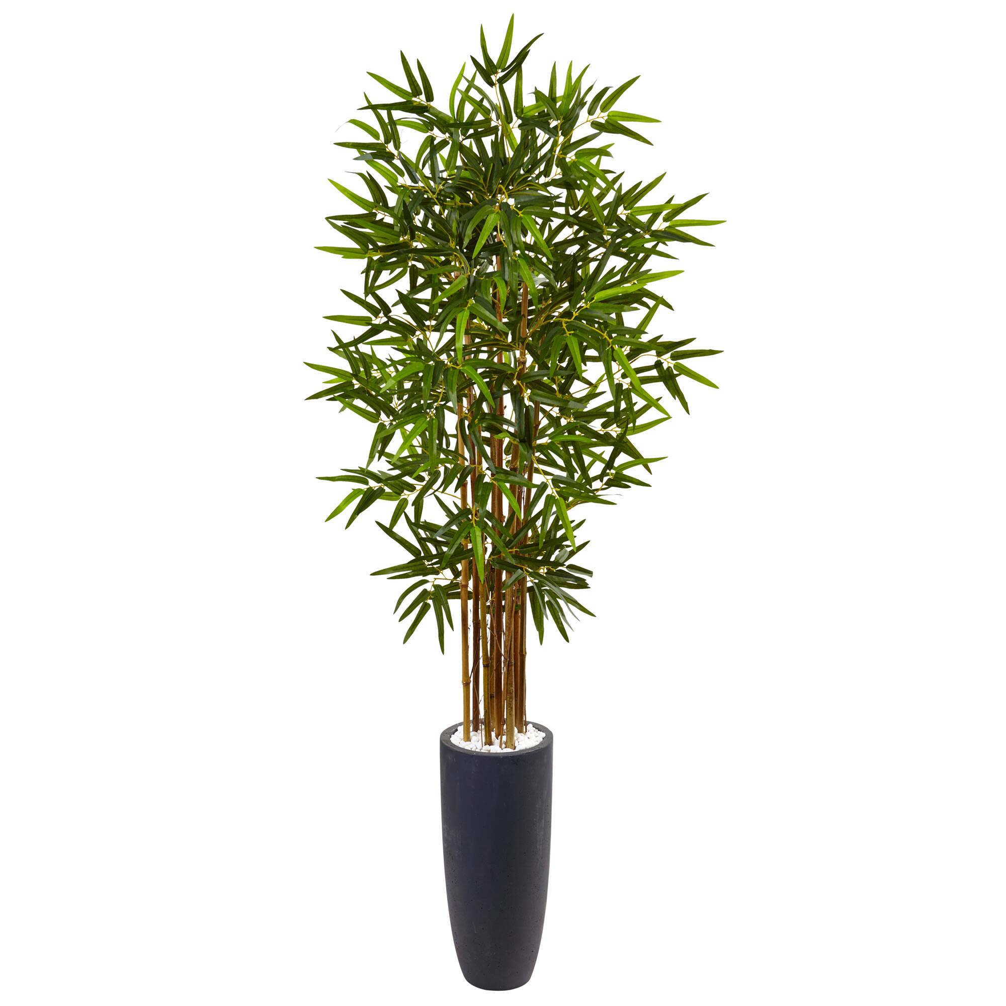5ft. Bamboo Tree in Gray Cylinder Planter